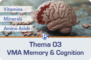 thema 03 vma memory cognition fresh start